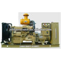 Generador eléctrico diesel de Styer 250kva con ISO
